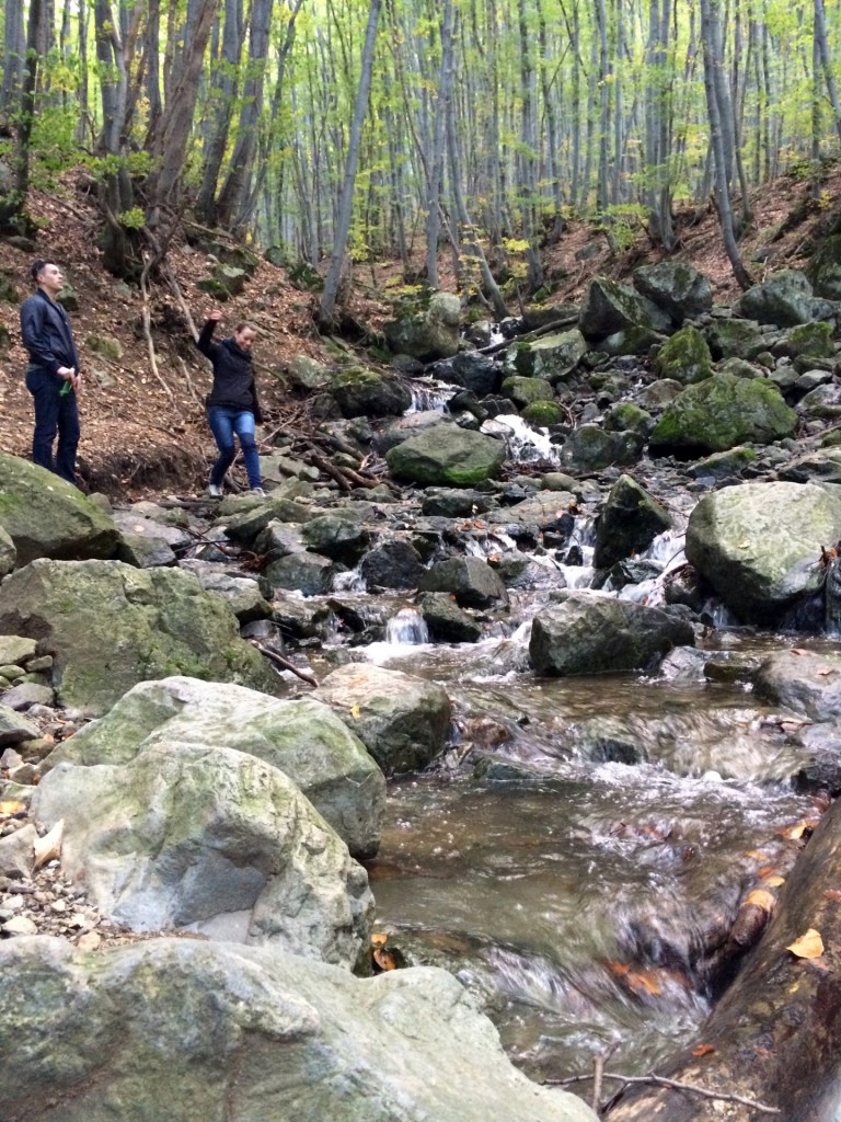 Hiking