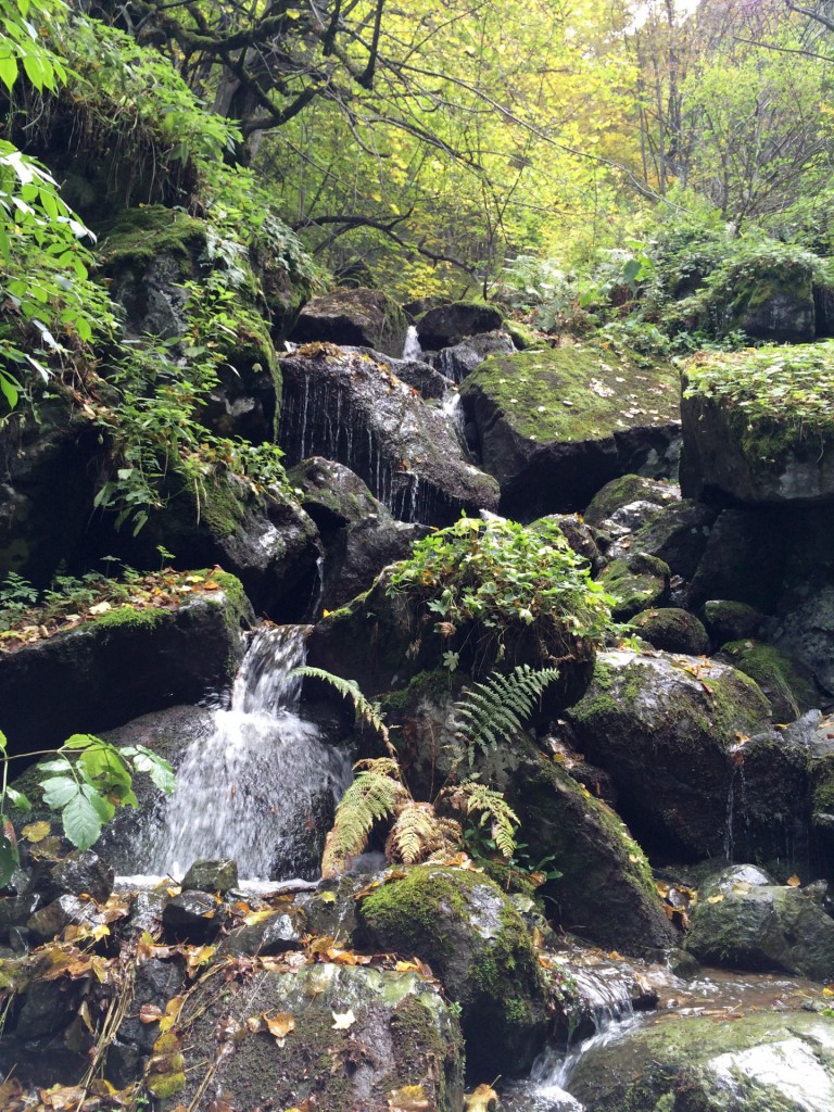 Nature
