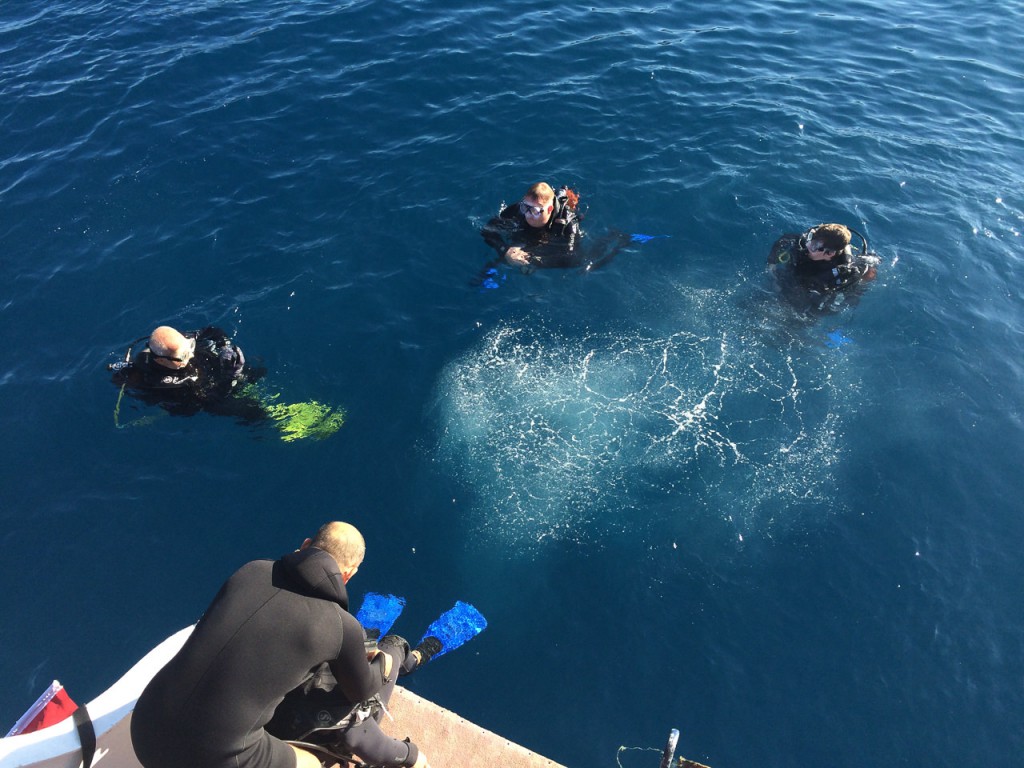 Before the dive
